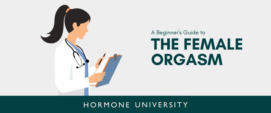 A Beginner's Guide to the Female Orgasm