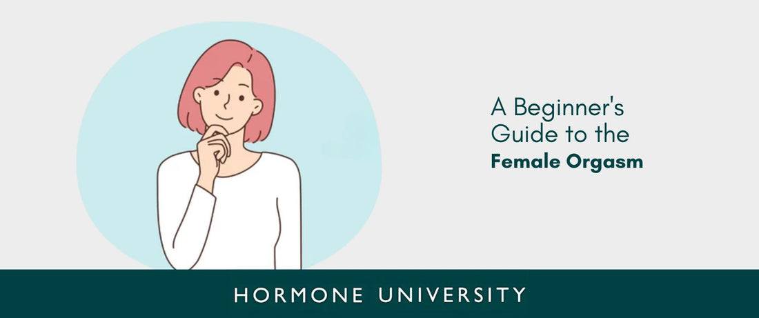 A Beginner's Guide to the Female Orgasm