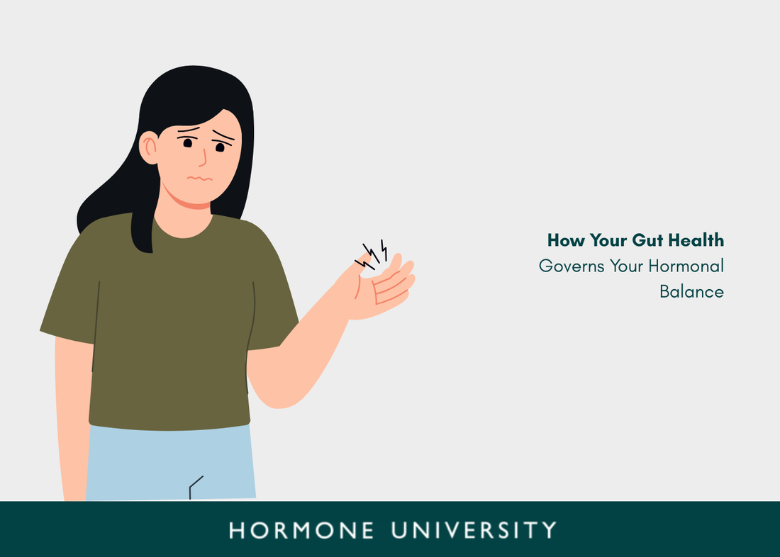 The Unseen Connection: How Your Gut Health Governs Your Hormonal Balance