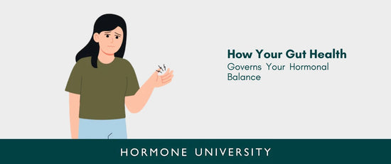 The Unseen Connection: How Your Gut Health Governs Your Hormonal Balance