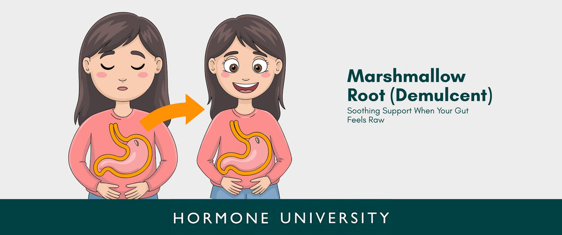 Marshmallow Root (Demulcent): Soothing Support When Your Gut Feels Raw