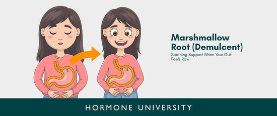 Marshmallow Root (Demulcent): Soothing Support When Your Gut Feels Raw