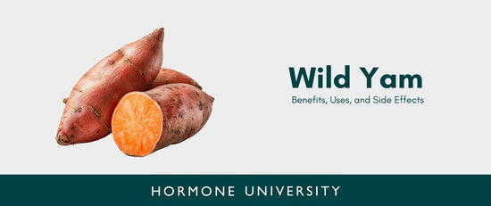 Wild Yam: Benefits, Uses, and Side Effects