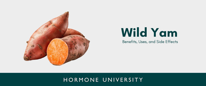 Wild Yam: Benefits, Uses, and Side Effects