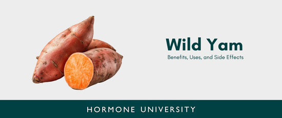 Wild Yam: Benefits, Uses, and Side Effects
